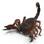 Scorpion Rigged Cinema 4D