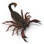 Scorpion Rigged Cinema 4D