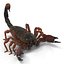 Scorpion Rigged Cinema 4D