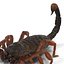 Scorpion Rigged Cinema 4D
