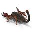 Scorpion Rigged Cinema 4D
