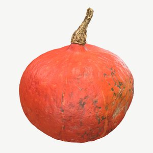 3D pumpkin fruit