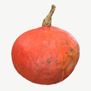 Pumpkin 3D Scan 3D model