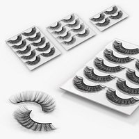 Assorted False Eyelash Set