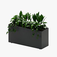 Rectangular Planter with Mixed Foliage