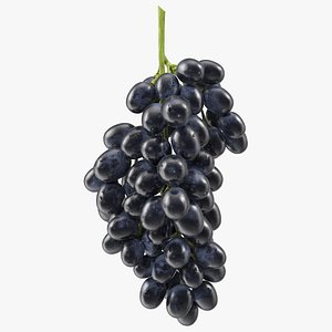 cluster black grapes 3D model
