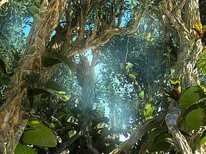 Rain Forest Ecosystems Animated Pack 12