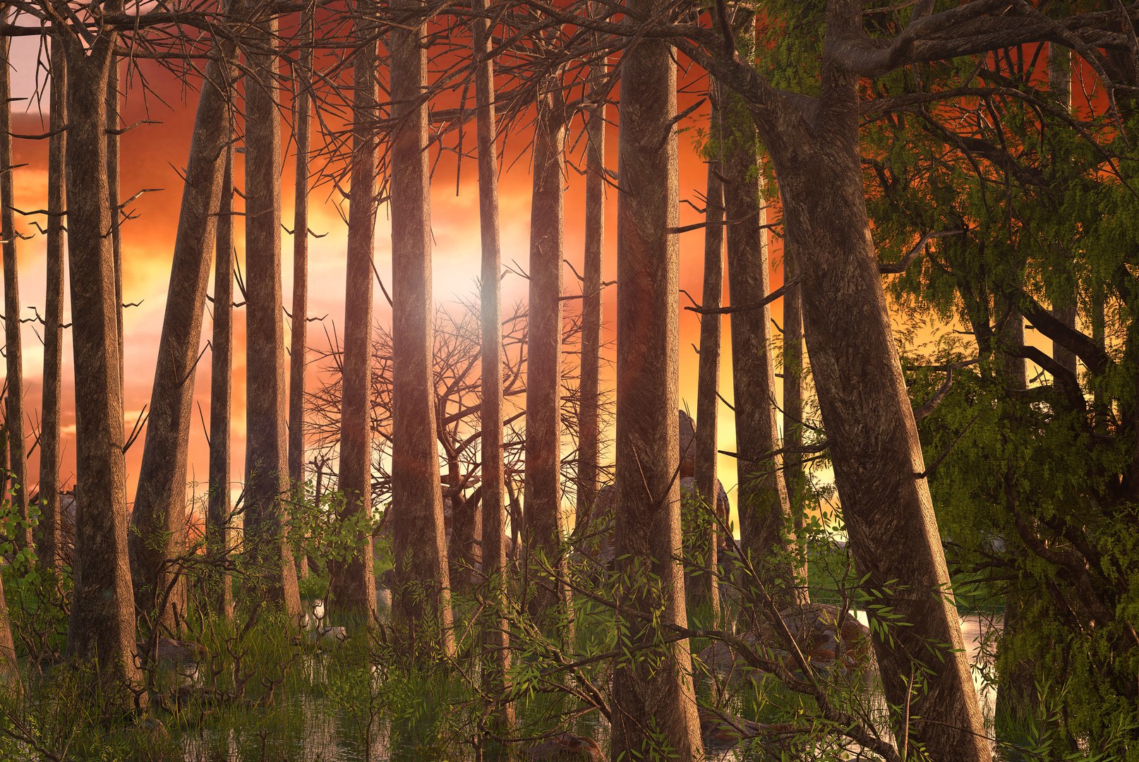 swamp 3D https://p.turbosquid.com/ts-thumb/xg/pNwcfE/9EgpBP4O/forest8/jpg/1585656476/1920x1080/fit_q87/272fd3416c1a6429d198fdaa2ede8a944c0ca9af/forest8.jpg