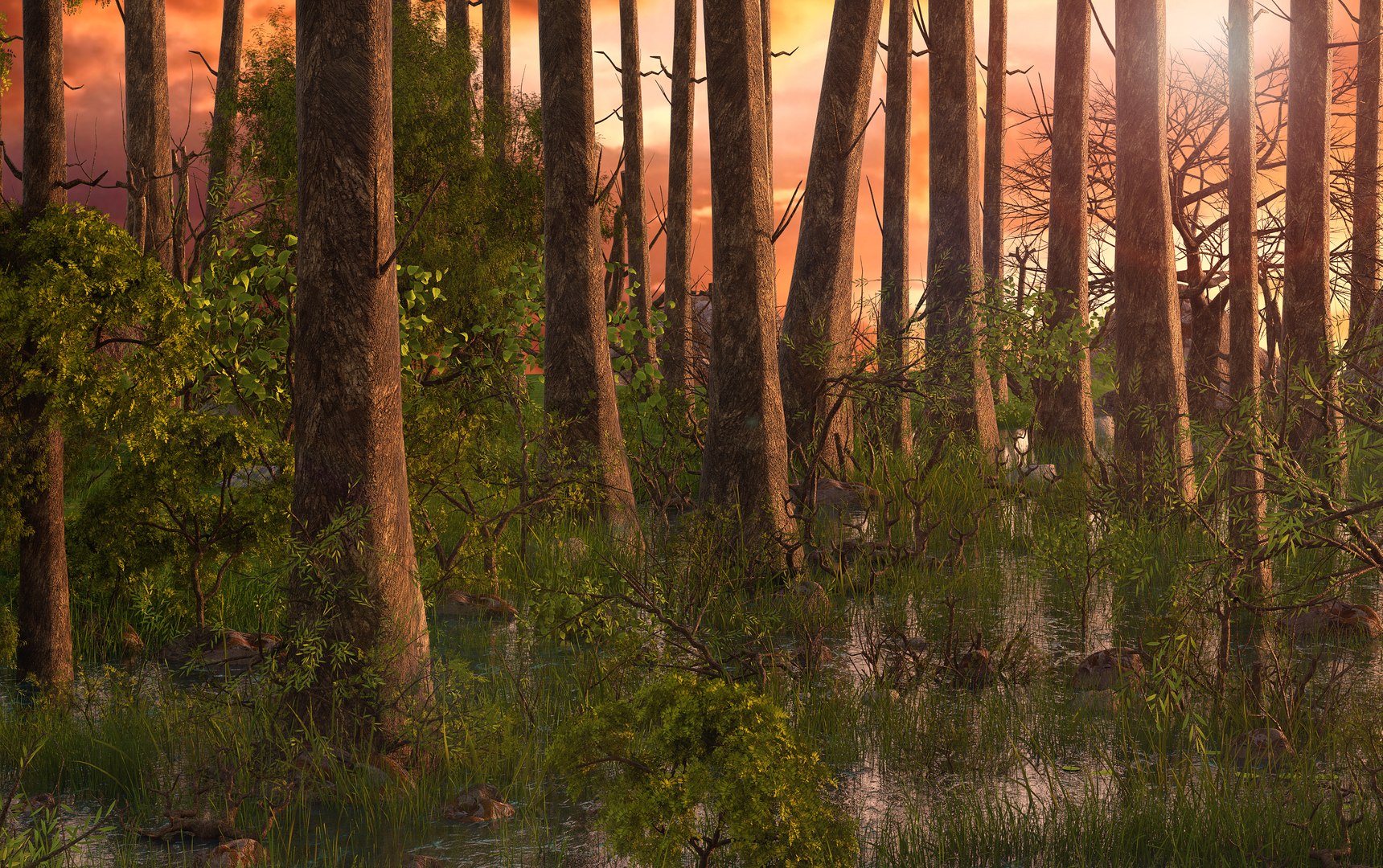 swamp 3D https://p.turbosquid.com/ts-thumb/xg/pNwcfE/Qr7T7Poh/forest10/jpg/1585656477/1920x1080/fit_q87/96a1299df8dd992a0afbd2391b62f5e2a8a82582/forest10.jpg