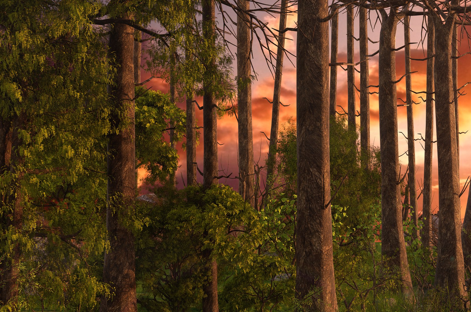 swamp 3D https://p.turbosquid.com/ts-thumb/xg/pNwcfE/mhvOIQCe/forest9/jpg/1585656476/1920x1080/fit_q87/cadd286c299647106b8382a9f5f3b8e85c0f53f2/forest9.jpg