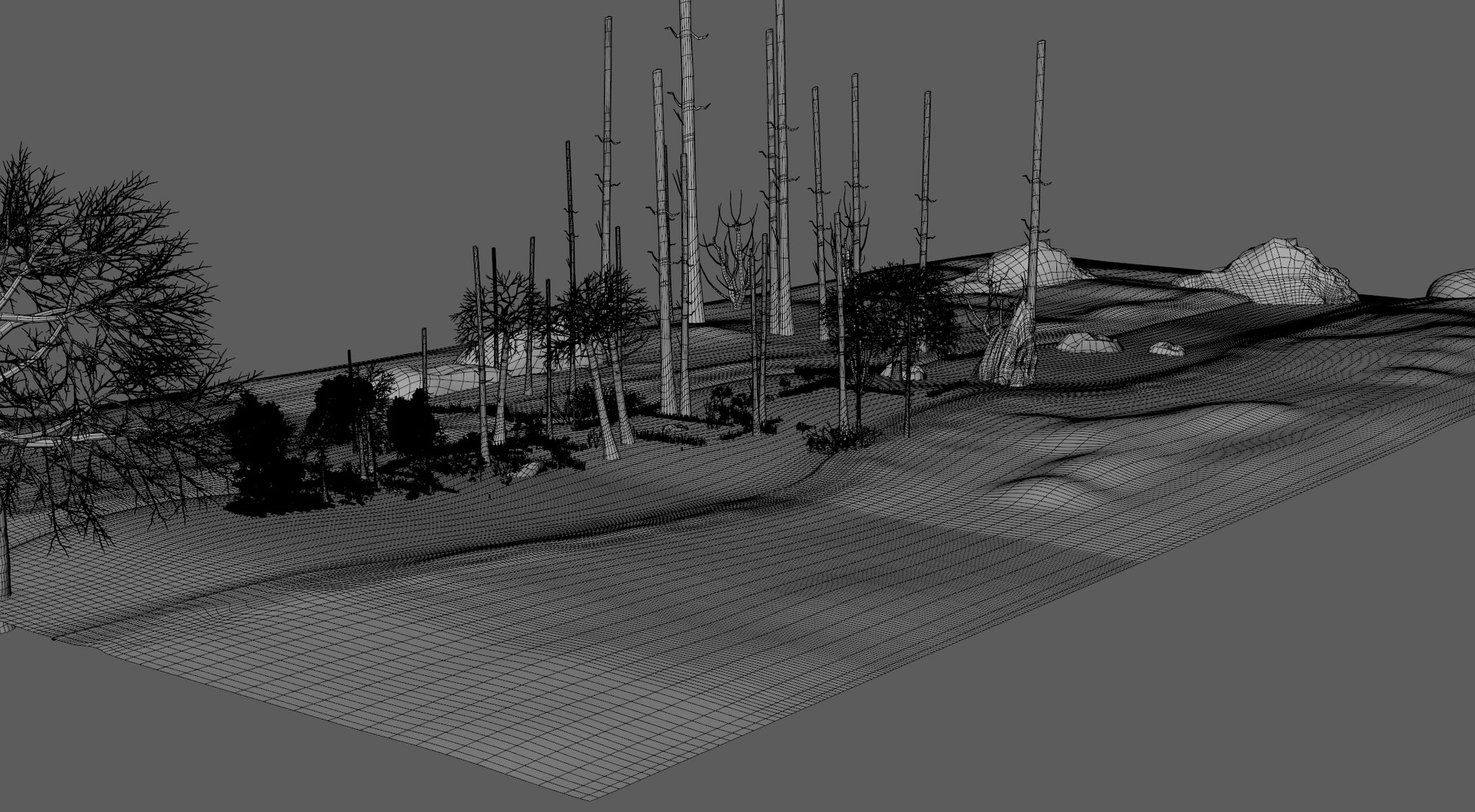 swamp 3D https://p.turbosquid.com/ts-thumb/xg/pNwcfE/xraQhM9N/forest13/jpg/1585690359/1920x1080/fit_q87/3cc8d5356b83f62a4298048df95729247b007eba/forest13.jpg