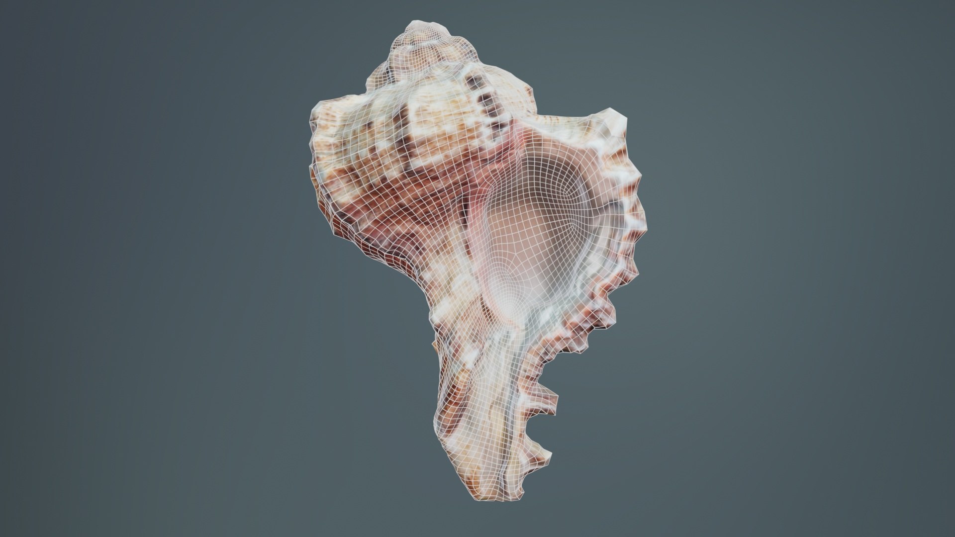 Shell Remastered Model - TurboSquid 2359836