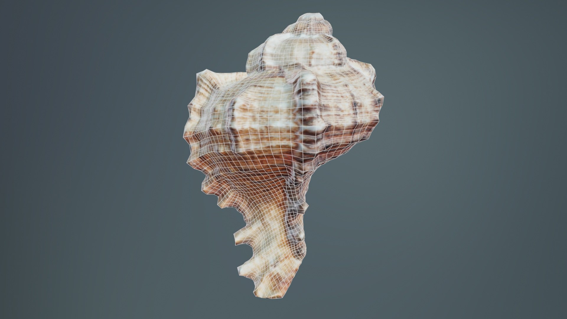 Shell Remastered Model - TurboSquid 2359836