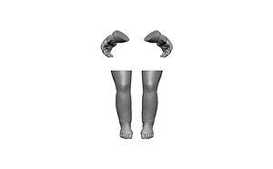 3D legs arms man doll model
