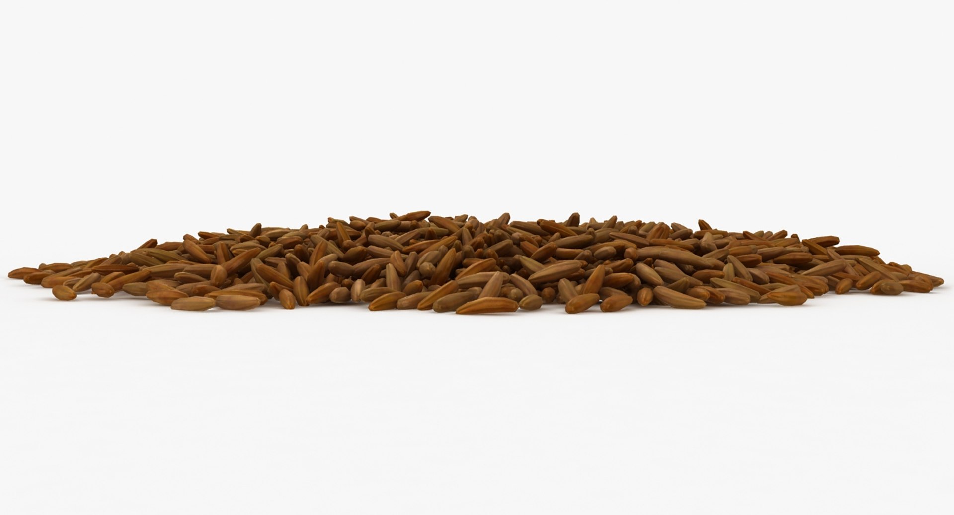 Realistic Brown Rice 3D Model - TurboSquid 1170530