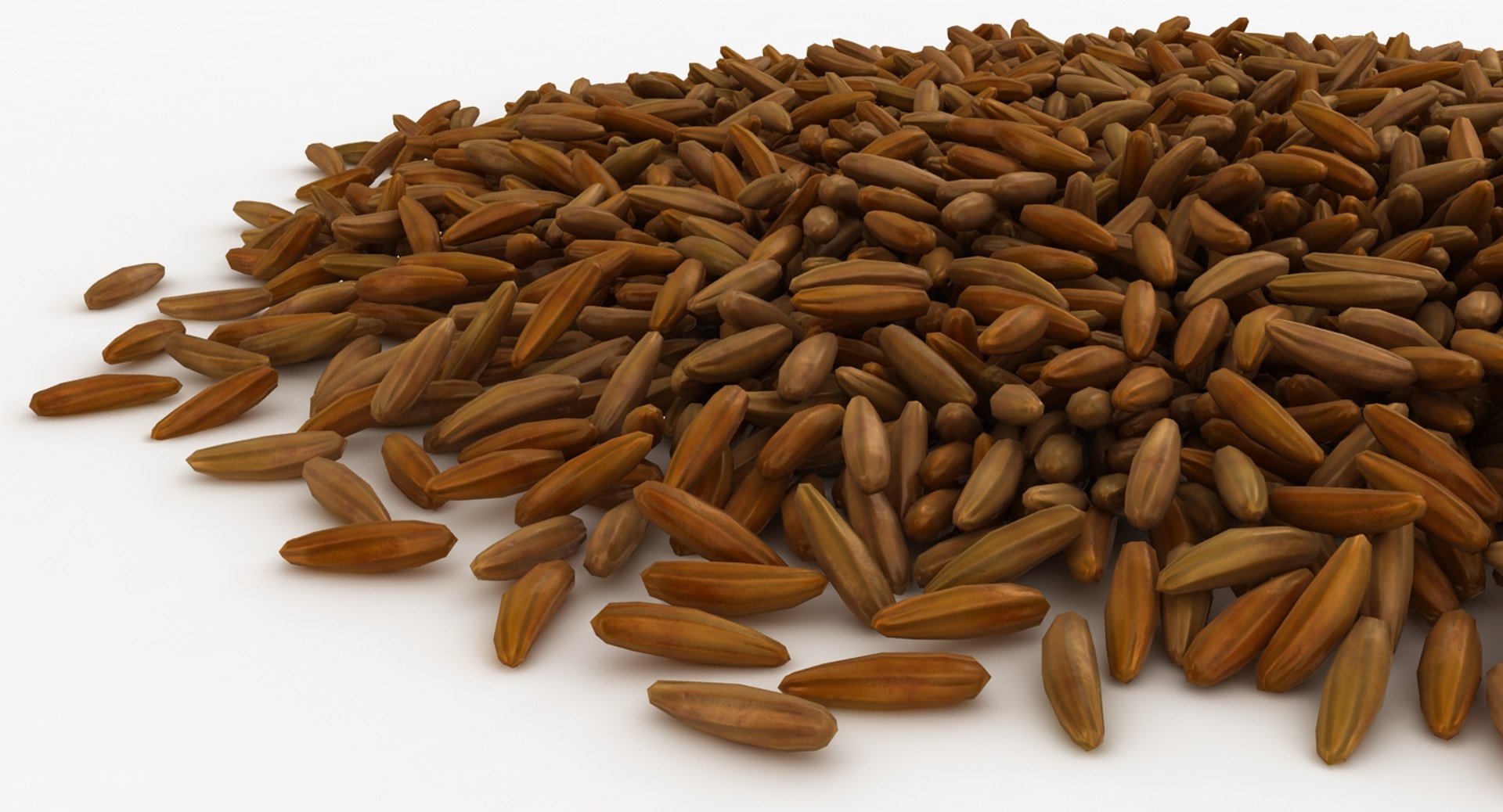 Realistic Brown Rice 3D Model - TurboSquid 1170530