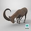 Alpine Ibex with Large Horns 3D