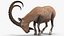 Alpine Ibex with Large Horns 3D