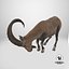 Alpine Ibex with Large Horns 3D