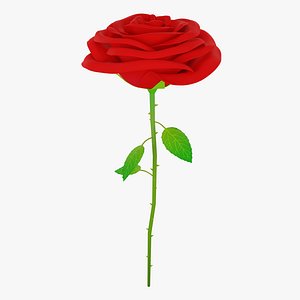 3D Rose model
