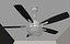 Ceiling Fan 8