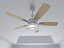 Ceiling Fan 8