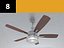 Ceiling Fan 8