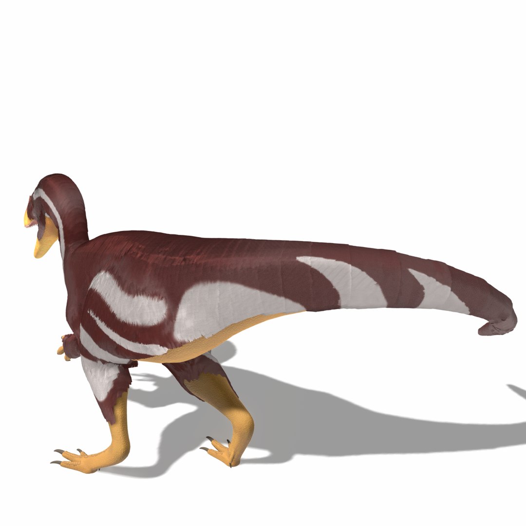 Dinosaur Bundle 01 3D model https://p.turbosquid.com/ts-thumb/xh/dPmJeU/Am3dkSD3/aratasaurusfoto0001/png/1790281869/1920x1080/fit_q87/e3c4e7482b898fa81b062adc43f38bf188706093/aratasaurusfoto0001.jpg
