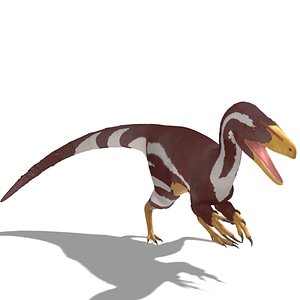 Aratasaurus Museunacionali Fur