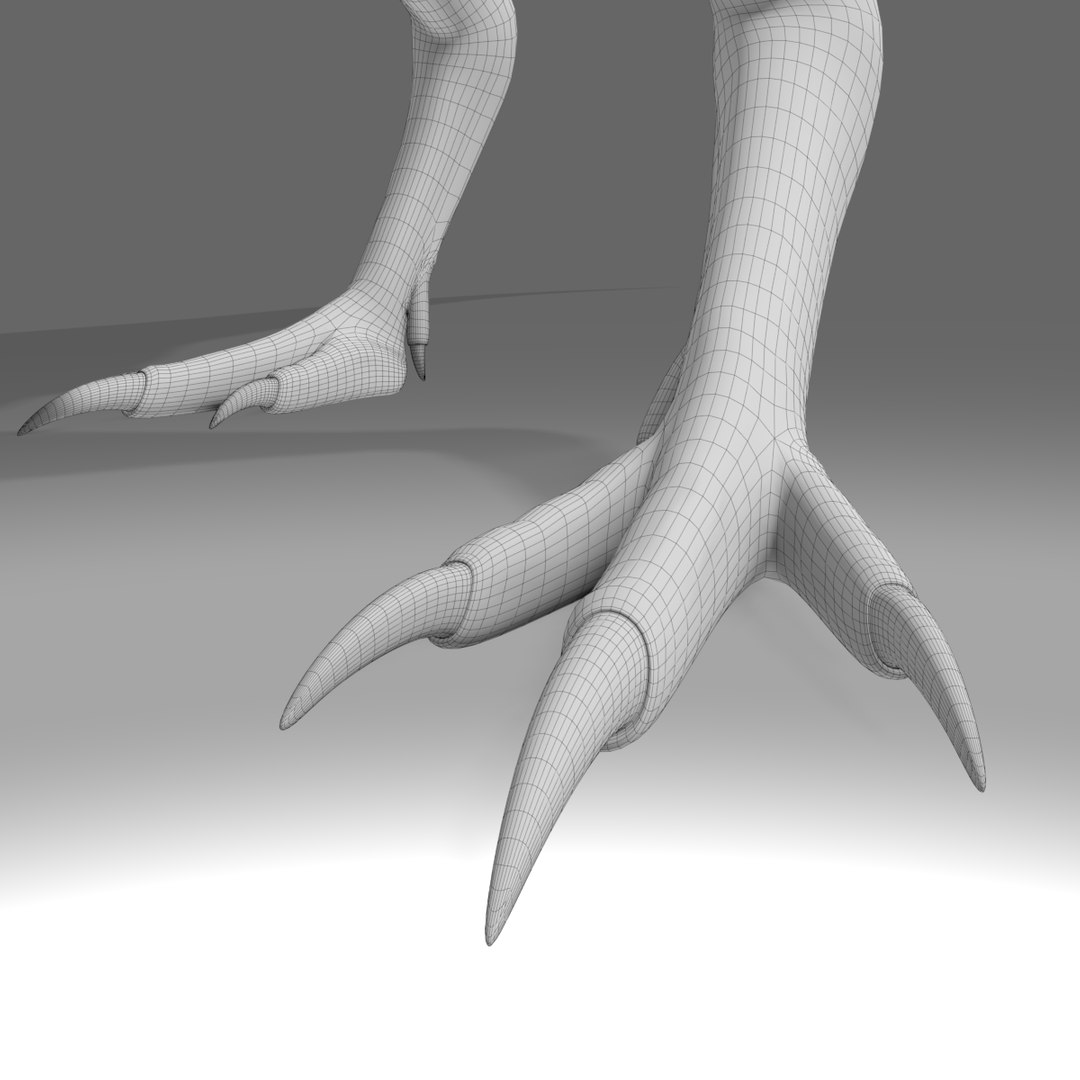 3D Model Aratasaurus Museunacionali Fur - TurboSquid 1597976