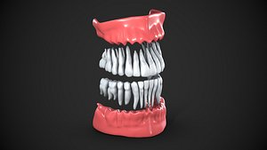 Full Mouth 3D Model for Printing and Educational Purposes 3D model