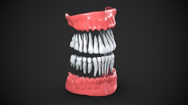 Full Mouth 3D Model for Printing and Educational Purposes 3D model