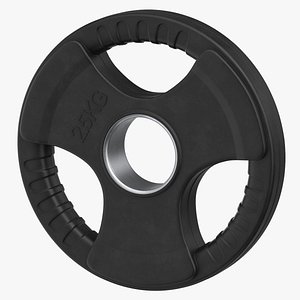 Weight Plate 2 5 KG