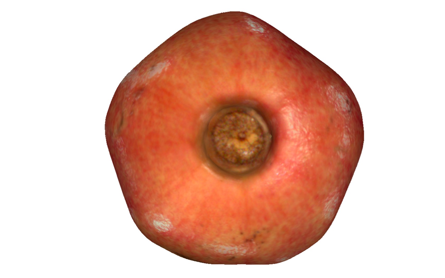 3D pomegranate fruits https://p.turbosquid.com/ts-thumb/xi/23gQ6C/CzOhsjBf/5/png/1594218092/1920x1080/fit_q87/67333d86497506e8a8518b06839403cf84c056da/5.jpg