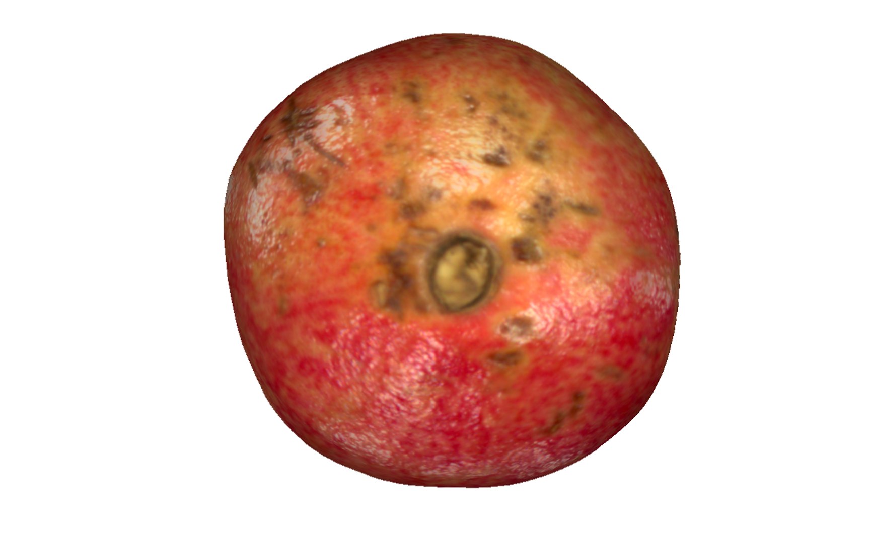 3D pomegranate fruits https://p.turbosquid.com/ts-thumb/xi/23gQ6C/xctwiJF7/6/png/1594218093/1920x1080/fit_q87/d85ae789c4b629a23fab79b77ba23f44f1957b41/6.jpg