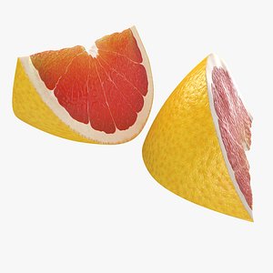3d grapefruit slice 3 modeled