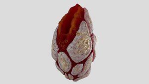alien clam 3D model