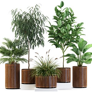 3D Plants collection 542