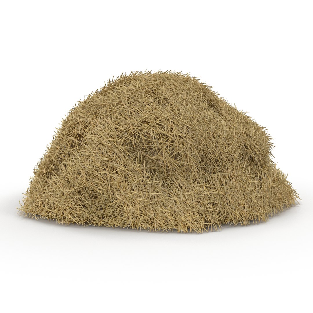 Hay Pile 3D model preview