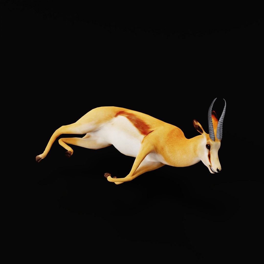 African Springbok Antelope 3D model https://p.turbosquid.com/ts-thumb/xi/pUuLRD/4X/africanspringbokao_0008/jpg/1768821806/1920x1080/fit_q87/1f3b2deb4e7d5a0d01cd3b07bfed50e5a48c2de3/africanspringbokao_0008.jpg