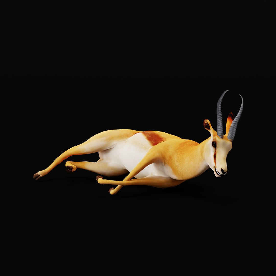 African Springbok Antelope 3D model https://p.turbosquid.com/ts-thumb/xi/pUuLRD/EW/africanspringbokao_0005/jpg/1768821785/1920x1080/fit_q87/5bff073f229150391fa70e4b3288f3a35be3290f/africanspringbokao_0005.jpg
