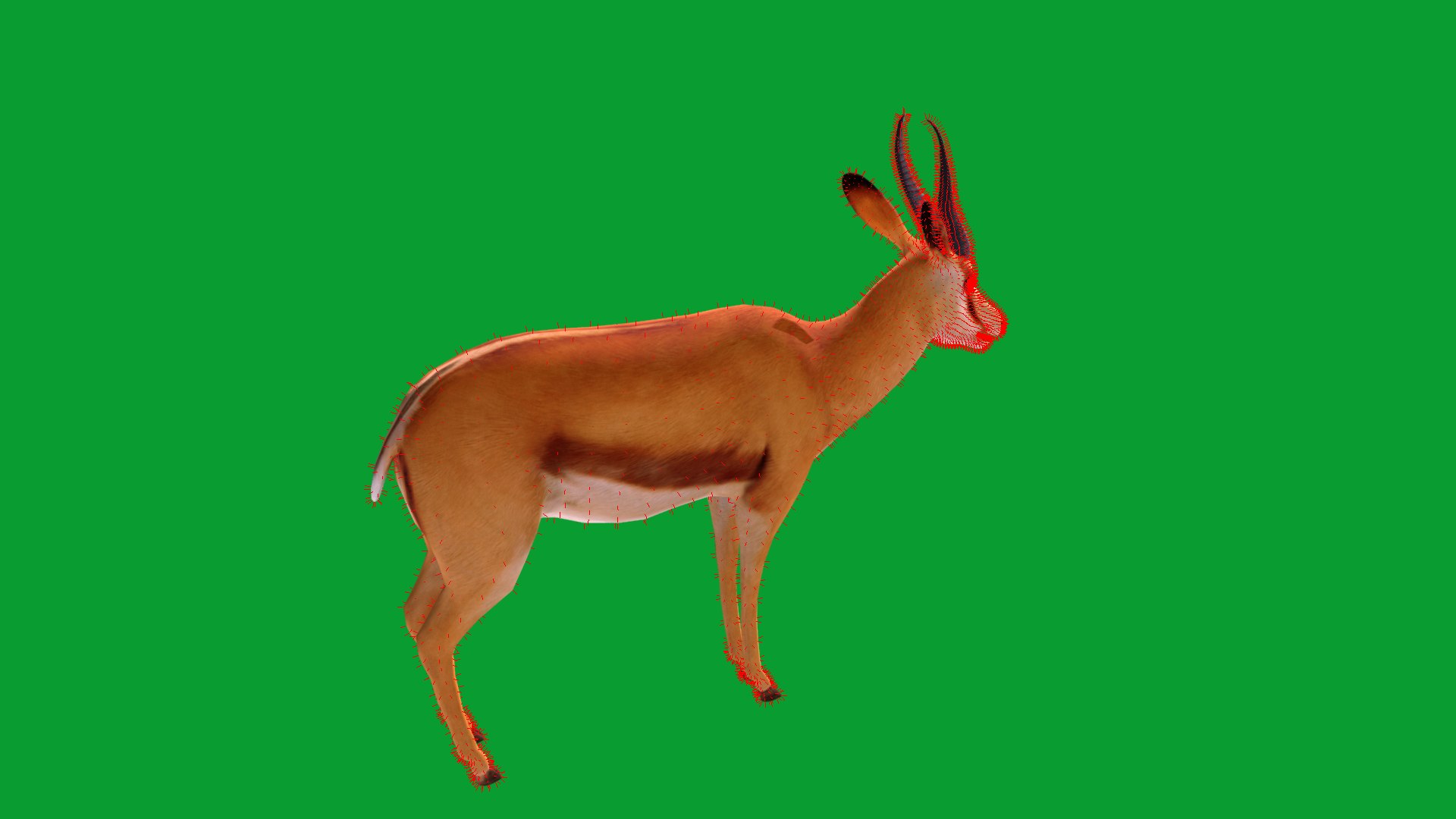 African Springbok Antelope 3D model https://p.turbosquid.com/ts-thumb/xi/pUuLRD/Jv/springbok_antelope26/png/1768821936/1920x1080/fit_q87/8c078944660f86ff4c3fd88f6576178a00471c8d/springbok_antelope26.jpg