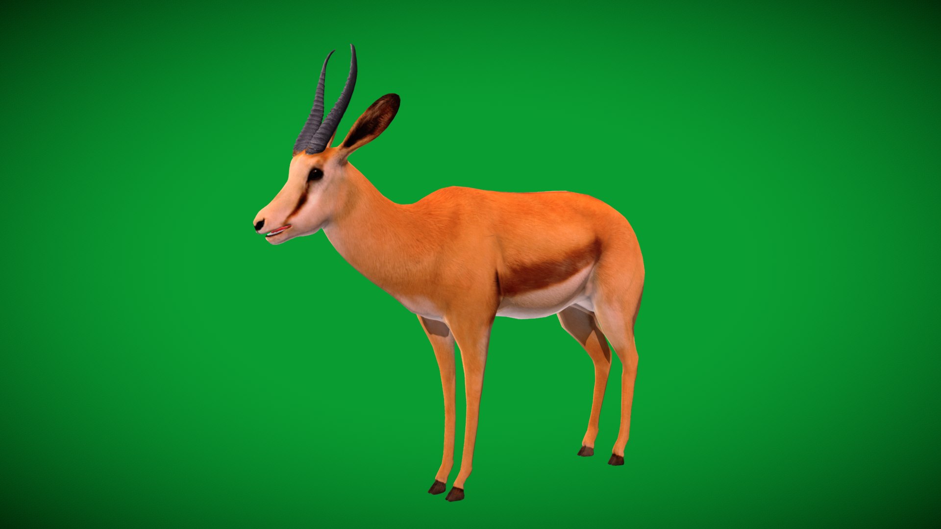 African Springbok Antelope 3D model https://p.turbosquid.com/ts-thumb/xi/pUuLRD/Kz/springbok_antelope8/png/1768821910/1920x1080/fit_q87/55a13ff8e9f5c999bff210d2521b2c7d4154907d/springbok_antelope8.jpg