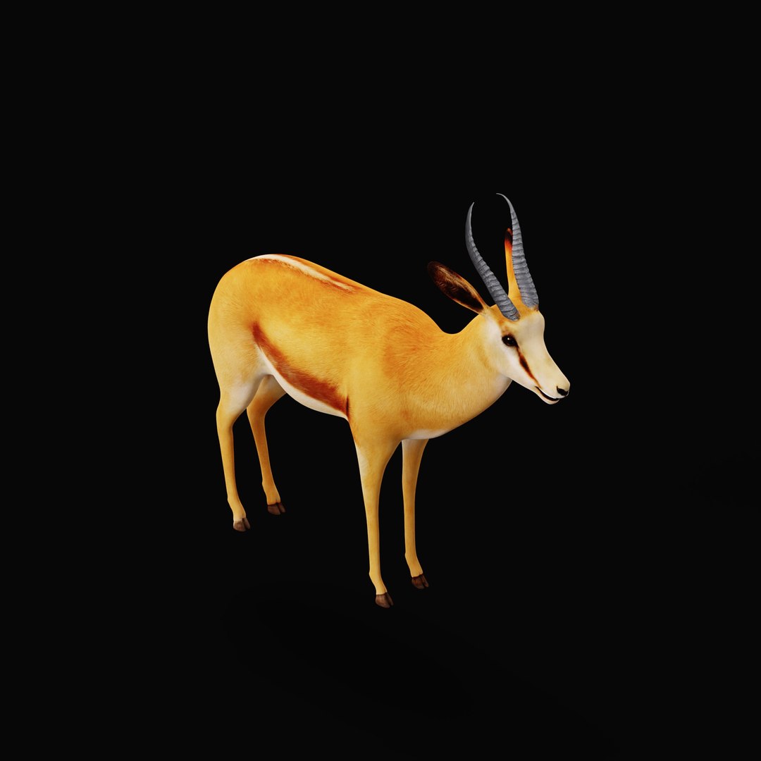 African Springbok Antelope 3D model https://p.turbosquid.com/ts-thumb/xi/pUuLRD/fC/africanspringbokao_0003/jpg/1768821784/1920x1080/fit_q87/e344072da3c3dd980986b3f3a81c88af4de0867c/africanspringbokao_0003.jpg