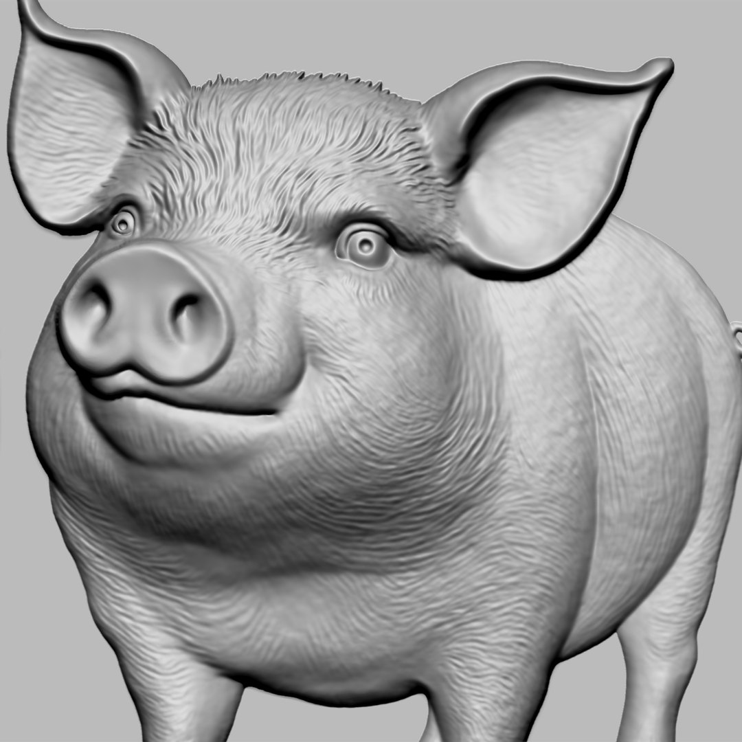 3D Pig Bas-relief - TurboSquid 2435959