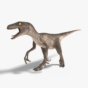 Velociraptor Rigged