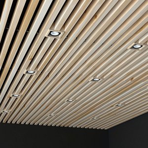 Wooden ceiling 2