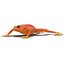 Mantella Frog Pose 3 3D Model