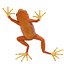 Mantella Frog Pose 3 3D Model