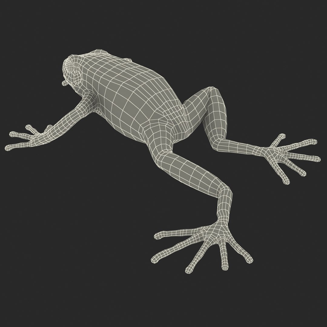 mantella frog pose 3 3d model https://p.turbosquid.com/ts-thumb/xi/xvL60f/FpADUaHs/3dmodelofmantellafrog27/jpg/1452519332/1920x1080/fit_q87/13eaa8c2e1fefbaf1419e27897c80f8102399b0e/3dmodelofmantellafrog27.jpg